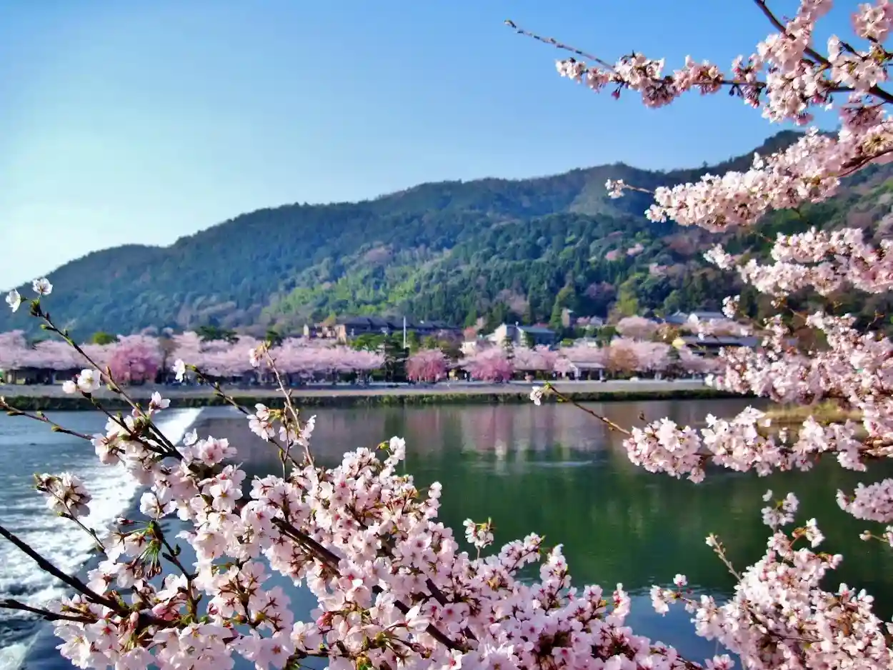 4月の春の京都観光におすすめの人気スポットBEST13！定番から穴場までご紹介