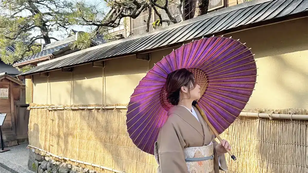 Maiko umbrella/Bangasa rental