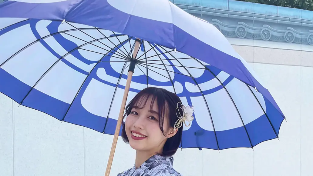 Umbrella/parasol