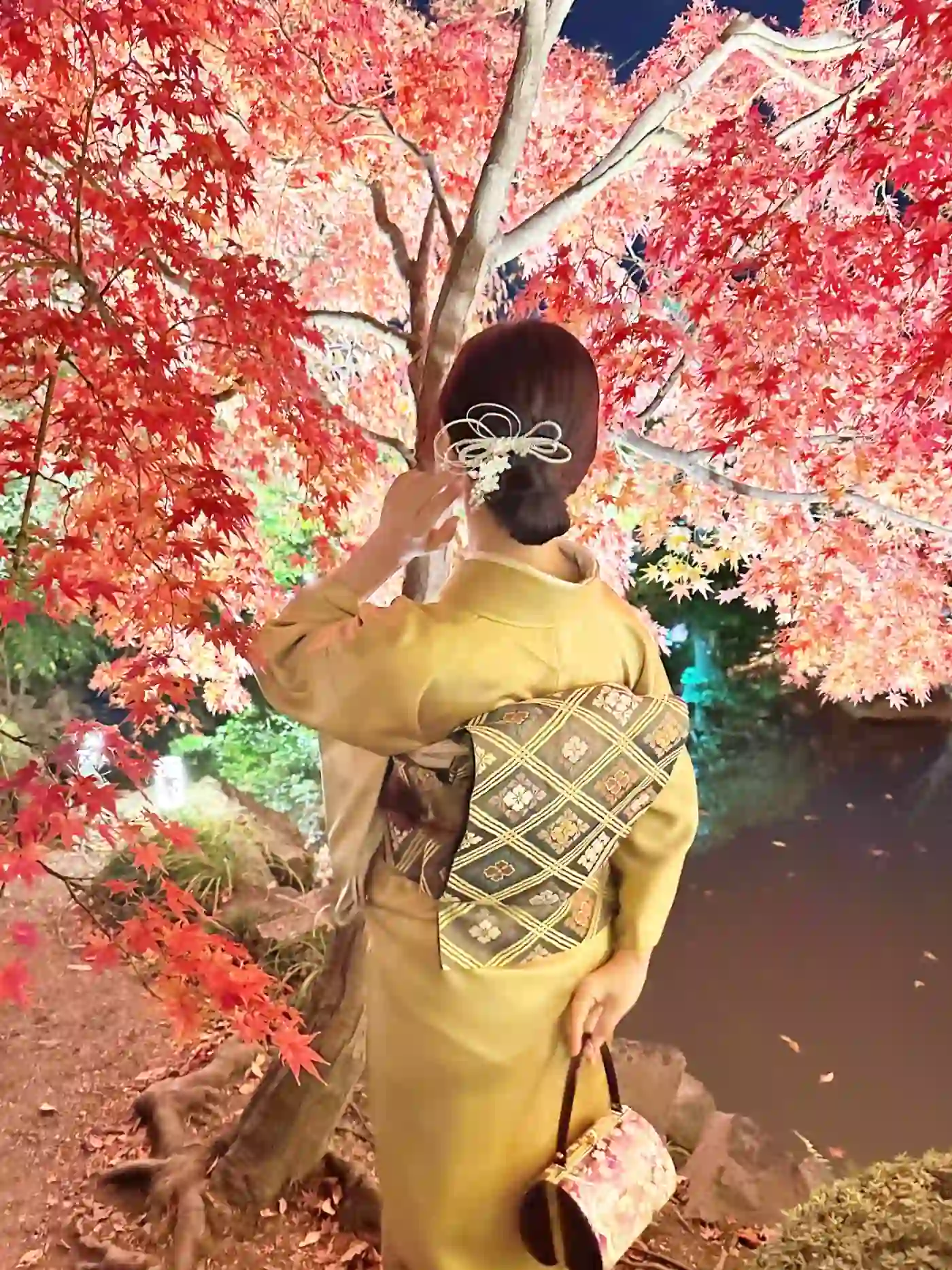 Night Pack Kimono Plan(Includes Next-Day Return)