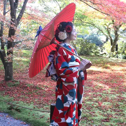 Furisode Hanhaba