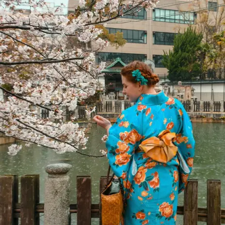 High-end Kimono Plan