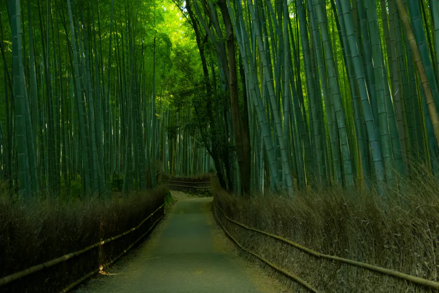 Arashiyama