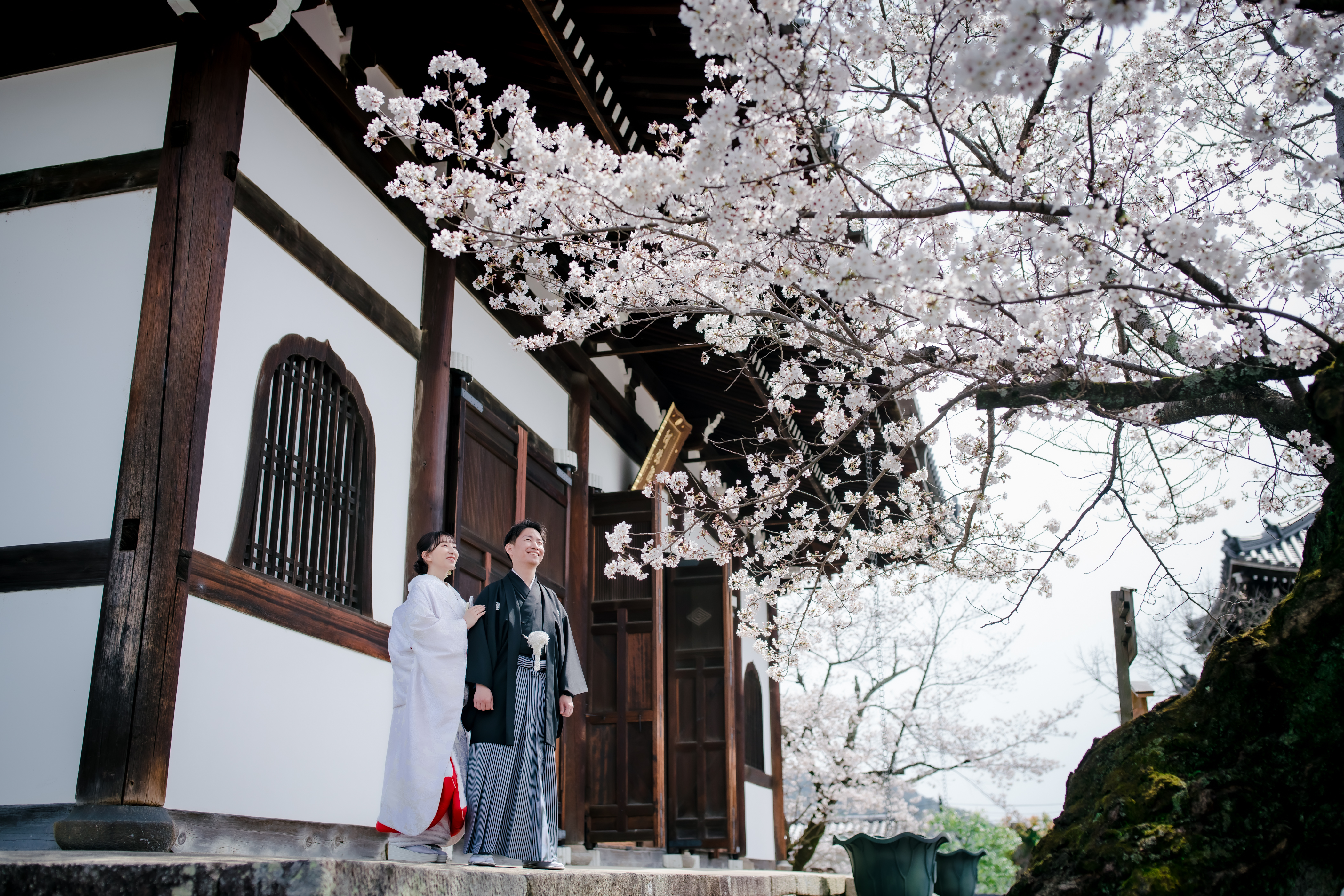 着物撮影プラン