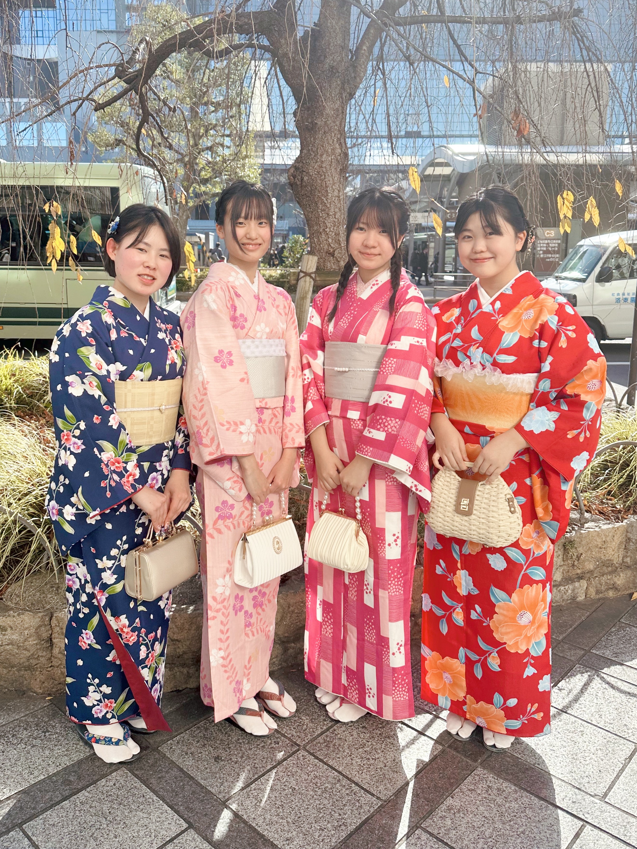 Student Discount Kimono Plan