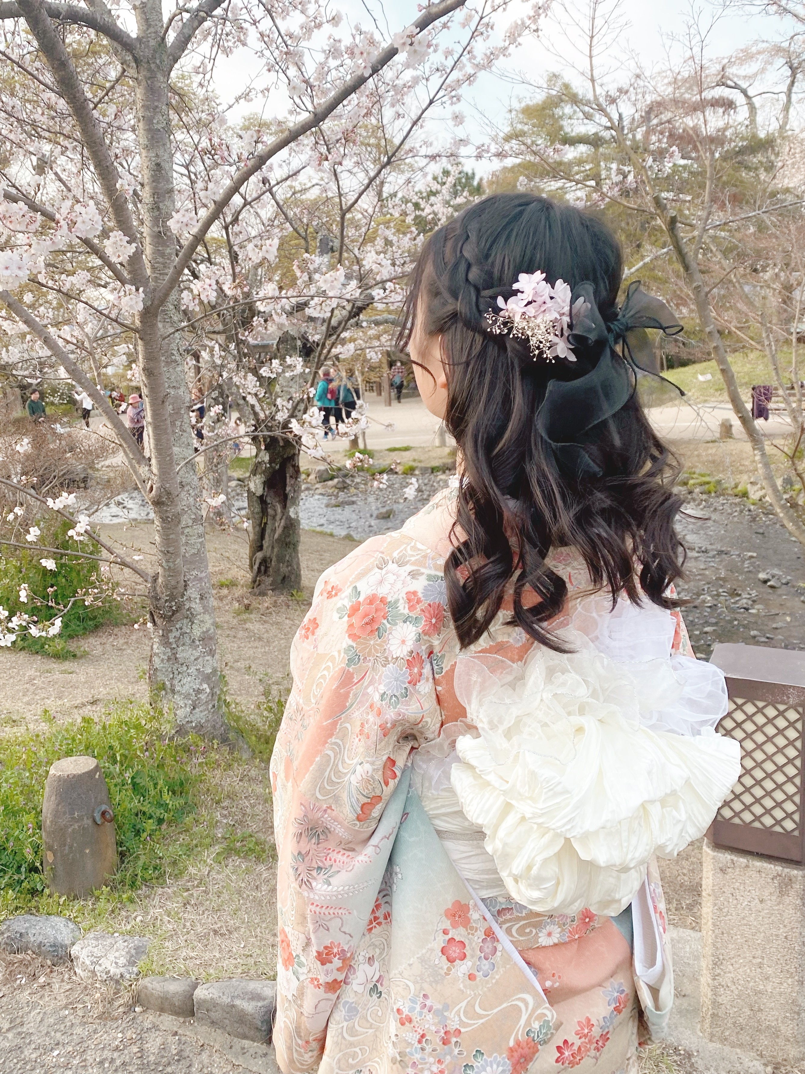 Student Discount Kimono Plan