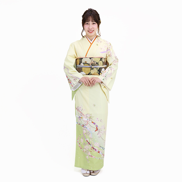 桜と靡く熨斗(鶯色)