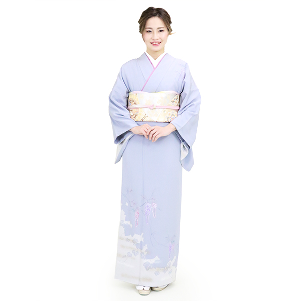 朧月夜に浮かぶ藤