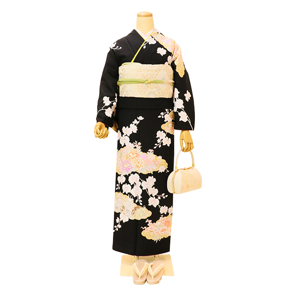 雲取り胡蝶蘭(黒色)