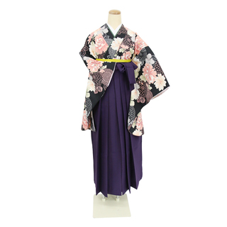 思い出の大菊・黒